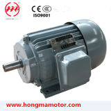IEC Standard Cast Iron Three Phase Induction Motor