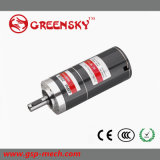 GS 25W 42mm Planetary Brushless DC Motor with High Quality