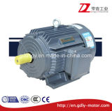 Beide High Efficiency Low-Voltage Three Phase Induction Motor