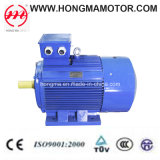 Ie3 Cast Iron Series Three Phase Asynchronous Induction High Efficiency Electric Motor (3HMI 355M 2 250)