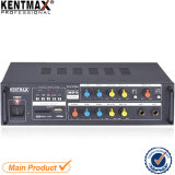 30W 220V 2 Channels Mini Amplifier (GV10N)