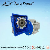 0.75kw AC Stalling Protection Motor with Decelerator (YFM-80F/D)