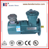 Yvbp-90L-4 Electric AC Induction Asynchronous Motor with 3.7A