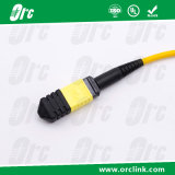 8f/12f/24f MPO-MPO Patchcord Jumper Optical Fiber Connector Sm Ofnp Lowloss 5 Meters