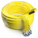 Indoor FTTH 96 Cores Distribution Structure Loose Tube LSZH Fiber Optic Cable