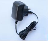 6W 24V/0.25A Switching Power Adapter with Ce