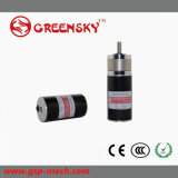 GS 36V 15W 43mm Planetary Brushless DC Motor with High Quality