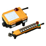 Industrial Wireless Remote Controller for Crane (F21-16s)