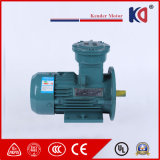 Three Phase Atex Electrical AC Motor with Preferential Price