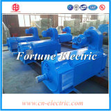 300V 250kw Extrusion Press Use DC Electric Motor
